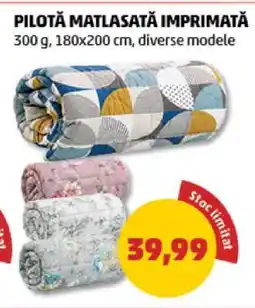 Penny Pilotă matlasată imprimată Ofertă
