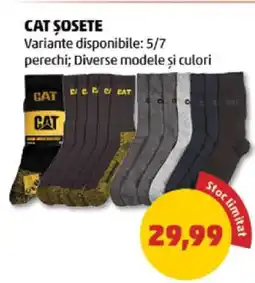 Penny CAT ȘOSETE Ofertă