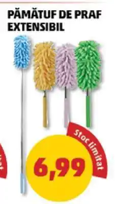 Penny Pămătuf de praf extensibil Ofertă
