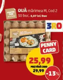 Penny OUĂ mărimea M, Cod 2 Ofertă