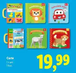 Lidl Carte Ofertă