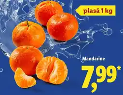 Lidl Mandarine Ofertă