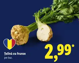 Lidl Țelină cu frunze Ofertă