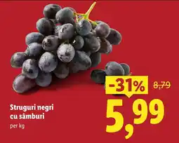 Lidl Struguri negri cu sâmburi Ofertă