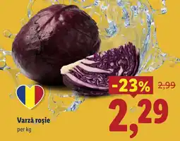 Lidl Varză roșie Ofertă
