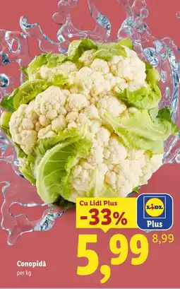 Lidl Lidl Conopidă Ofertă