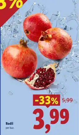 Lidl Rodii Ofertă