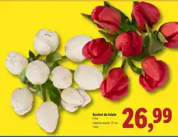 Lidl Buchet de lalale Ofertă