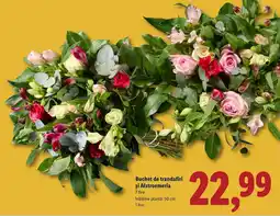 Lidl Buchet de trandafiri și Alstroemeria Ofertă