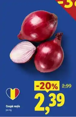 Lidl Ceapă roşie Ofertă