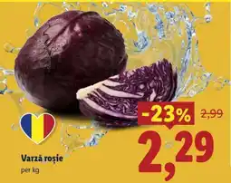 Lidl Varză roşie Ofertă