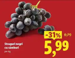 Lidl Struguri negri cu sâmburi Ofertă