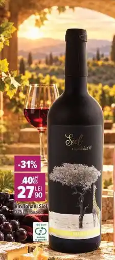 Carrefour Vin Tohani Siel Ofertă