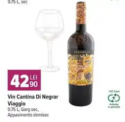 Carrefour Vin Cantina Di Negrar Viaggio Ofertă