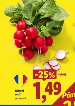 Lidl Ridichi roşii Ofertă