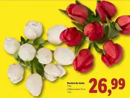 Lidl Buchet de lalele Ofertă