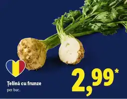 Lidl Ţelină cu frunze Ofertă