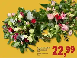 Lidl Buchet de trandafiri și Alstroemeria Ofertă