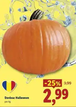 Lidl Dovleac Halloween Ofertă