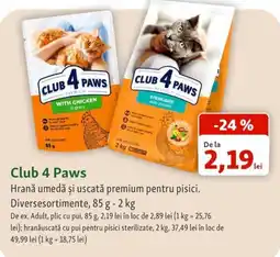 Fressnapf Club 4 Paws Hrană umedă și uscată premium pentru pisici Ofertă