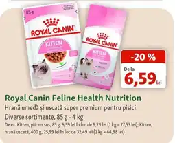 Fressnapf Royal Canin Feline Health Nutrition Ofertă