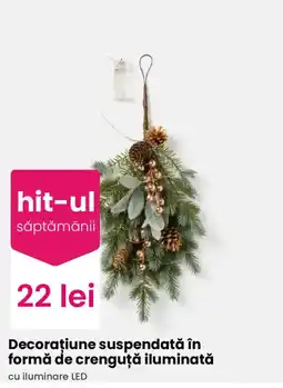 Pepco hit-ul săptămânii Ofertă