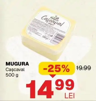 Mugura Cașcaval