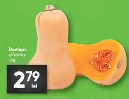 PROFI Dovleac plăcintar Ofertă
