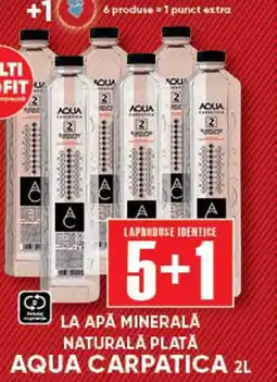 PROFI Aqua Carpatica Apa Minerala Naturala Plata Ofertă