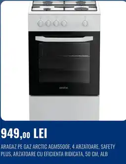 Flanco Arctic aragaz pe gaz agm5500f Ofertă
