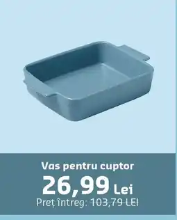 Mega Image Vas pentru cuptor Ofertă