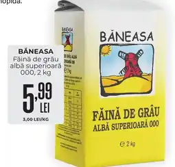 Mega Image Băneasa făină de grâu albă superioară 000 Ofertă