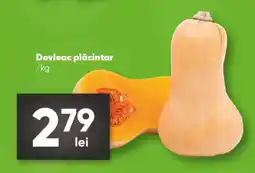 PROFI Dovleac plăcintar Ofertă