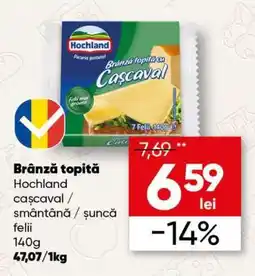 PROFI Brânză topită Hochland Ofertă