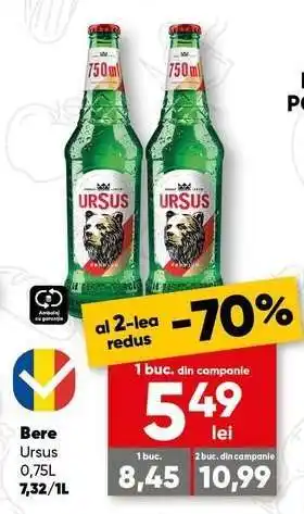 Bere Ursus