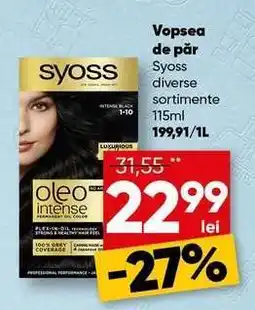 PROFI SYOSS Vopsea de păr Ofertă
