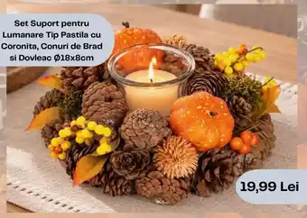 Set Suport pentru Lumanare Tip Pastila cu Coronita, Conuri de Brad si Dovleac