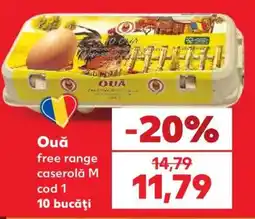 Kaufland Ouă free range caserolă M cod 1 Ofertă
