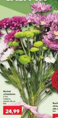 Kaufland Buchet crizanteme Ofertă