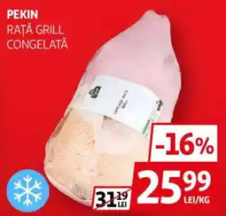 Auchan Pekin rață grill congelată Ofertă
