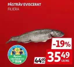 Auchan Auchan păstrăv eviscerat filiera Ofertă