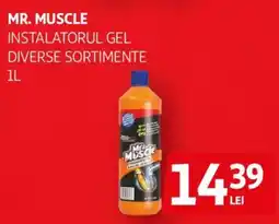 Auchan Mr Muscle instalatorul gel Ofertă