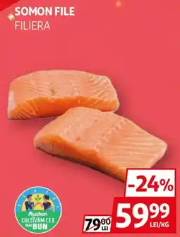 Auchan Somon file filiera Ofertă