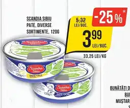 Mega Image Scandia Sibiu pate diverse sortimente Ofertă
