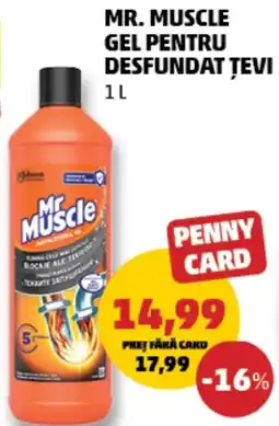 Penny Mr Muscle gel pentru desfundat șevi Ofertă