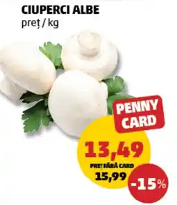 Penny Ciuperci albe Ofertă