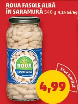 Penny Roua fasole albă în saramură Ofertă