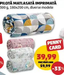 Penny Penny Card piloță matlasată imprimată Ofertă