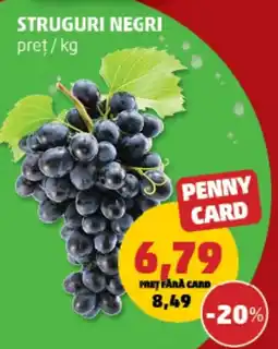Penny Penny card struguri negri Ofertă