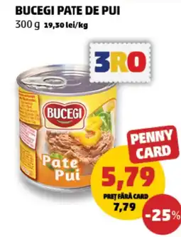 Penny Bucegi pate de pui Ofertă